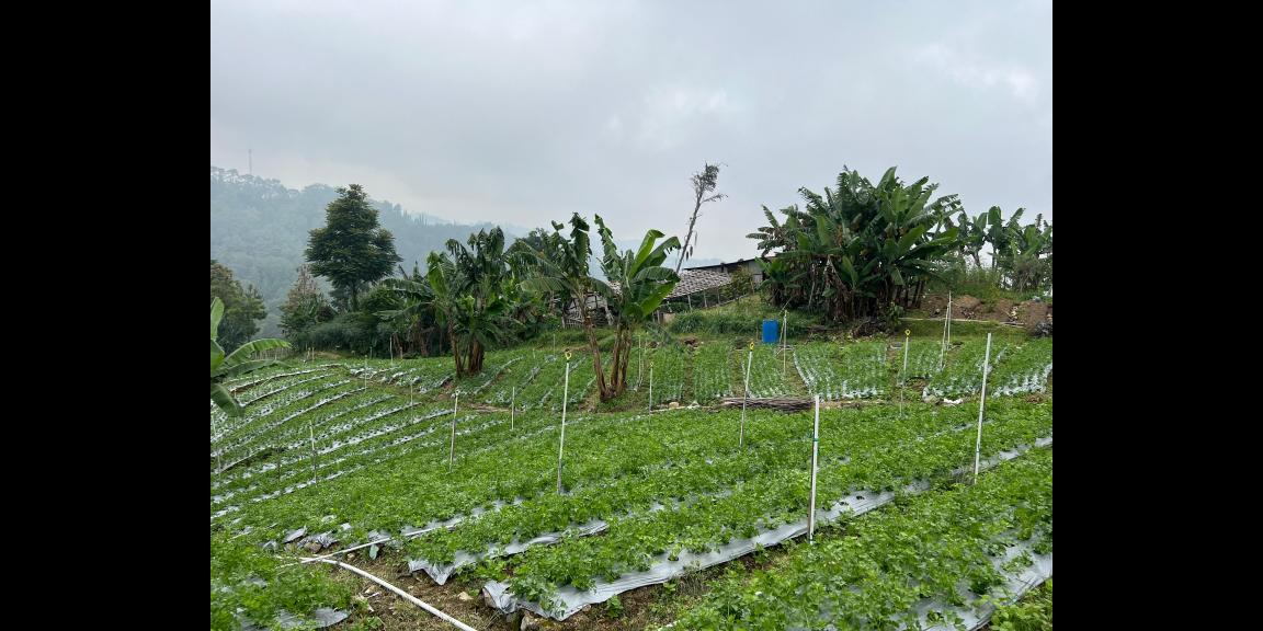 Tanah Kawasan Wisata Tawangmangu 2000m View Cantik Tanah Kawasan Wisata Tawangmangu 2000m View Cantik