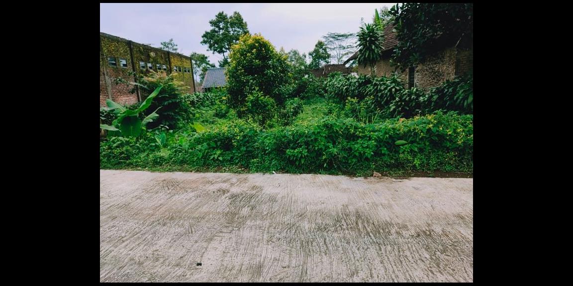 Tanah Strategis di Desa Wisata Kemuning Ngargoyoso Karanganyar Tanah Strategis di Desa Wisata Kemuning Ngargoyoso Karanganyar