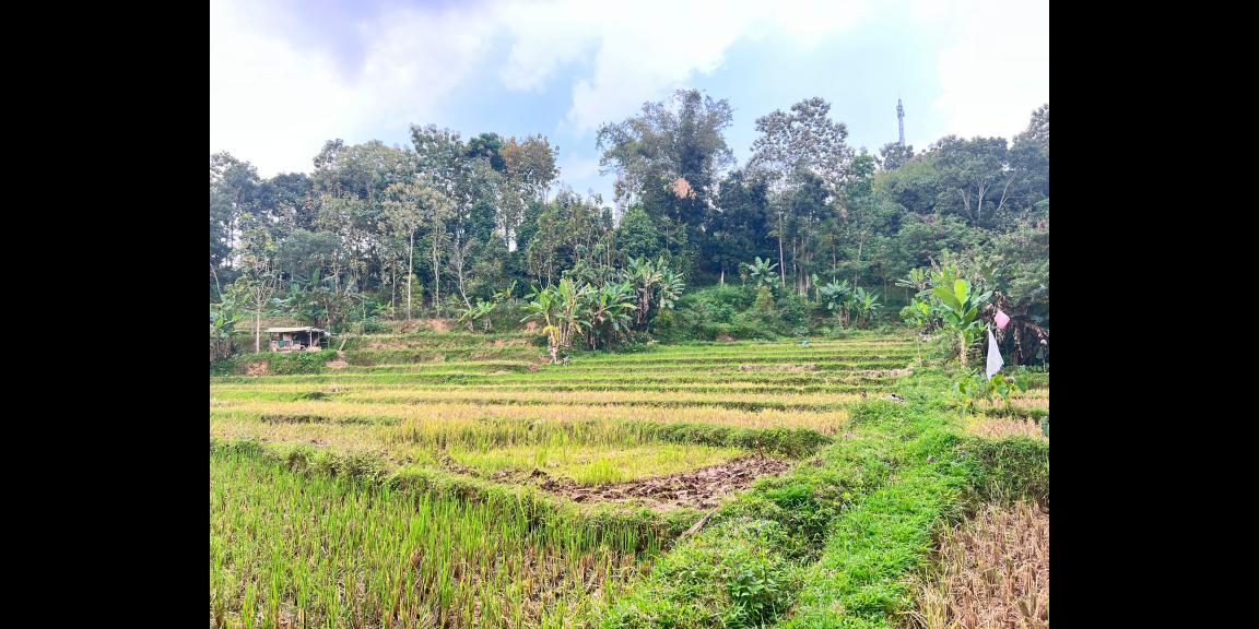 Tanah Subur 6000m² Kawasan Wisata Karangpandan Tanah Subur 6000m² Kawasan Wisata Karangpandan