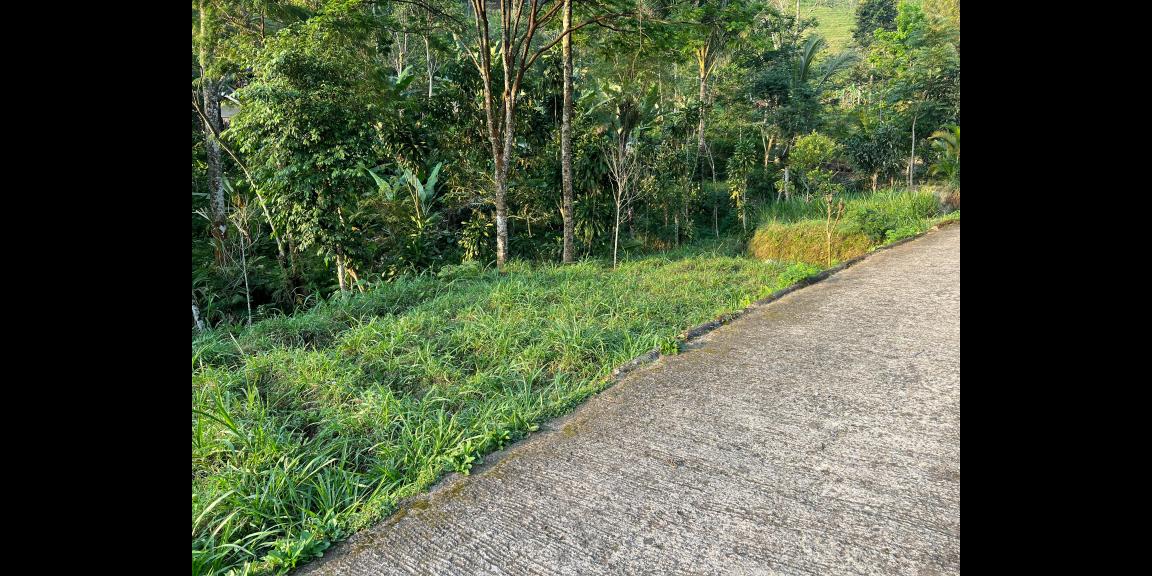 Tanah Istimewa Dekat Sungai 280m Jenawi Karanganyar Tanah Istimewa Dekat Sungai 280m Jenawi Karanganyar