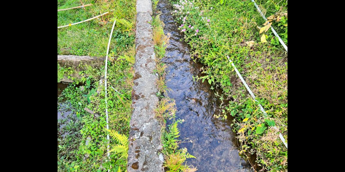 Tanah Strategis 1200 Timur Isykarima Tawangmangu Karanganyar Tanah Strategis 1200 Timur Isykarima Tawangmangu Karanganyar
