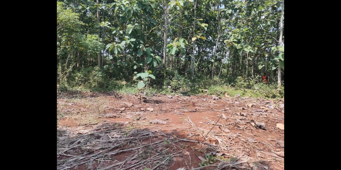 Tanah Murah 1198m² Hanya 100 Juta Karanganyar Tanah Murah 1198m² Hanya 100 Juta Karanganyar