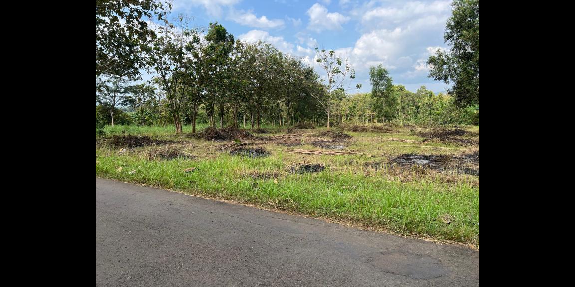 Tanah Datar Strategis 3000m² Zona Kuning Karanganyar Tanah Datar Strategis 3000m² Zona Kuning Karanganyar