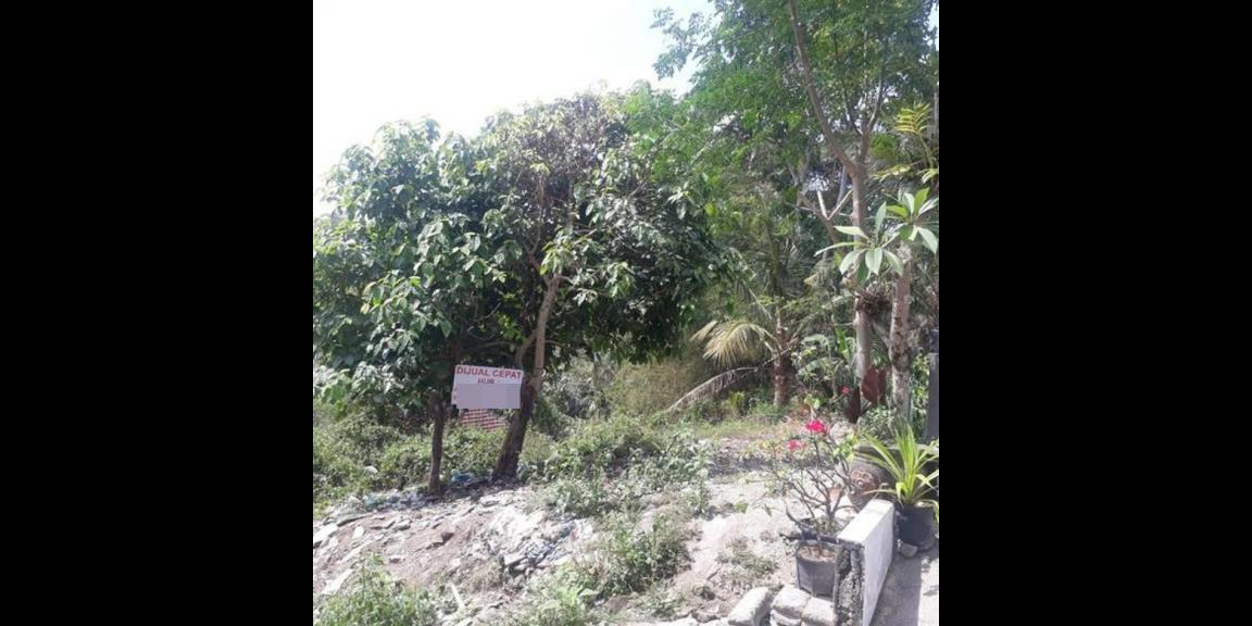 Tanah Murah di Perumahan Griya Arta Puri Tabanan Bali Tanah Murah di Perumahan Griya Arta Puri Tabanan Bali