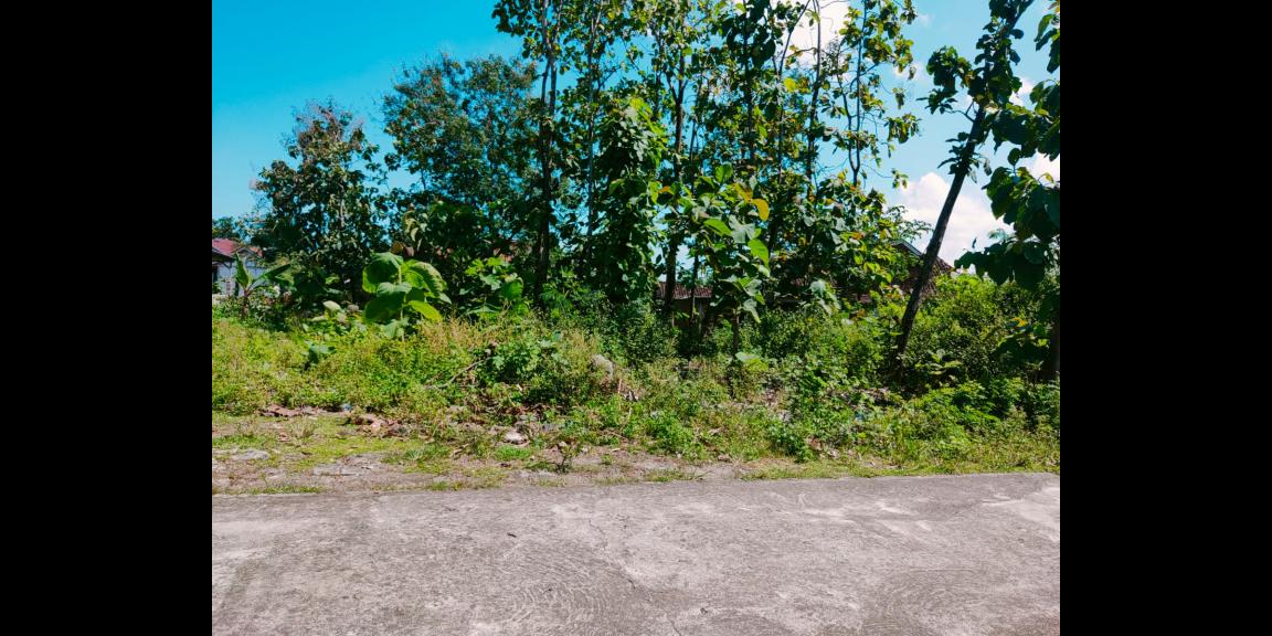 Tanah Strategis Sragen Dijual Murah Saja! Tanah Strategis Sragen Dijual Murah Saja!