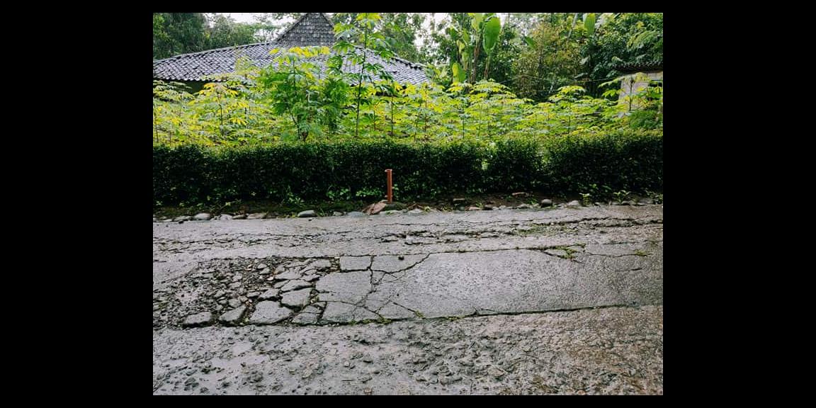 TANAH DATAR DI MOJOGEDANG KARANGANYAR TANAH DATAR DI MOJOGEDANG KARANGANYAR