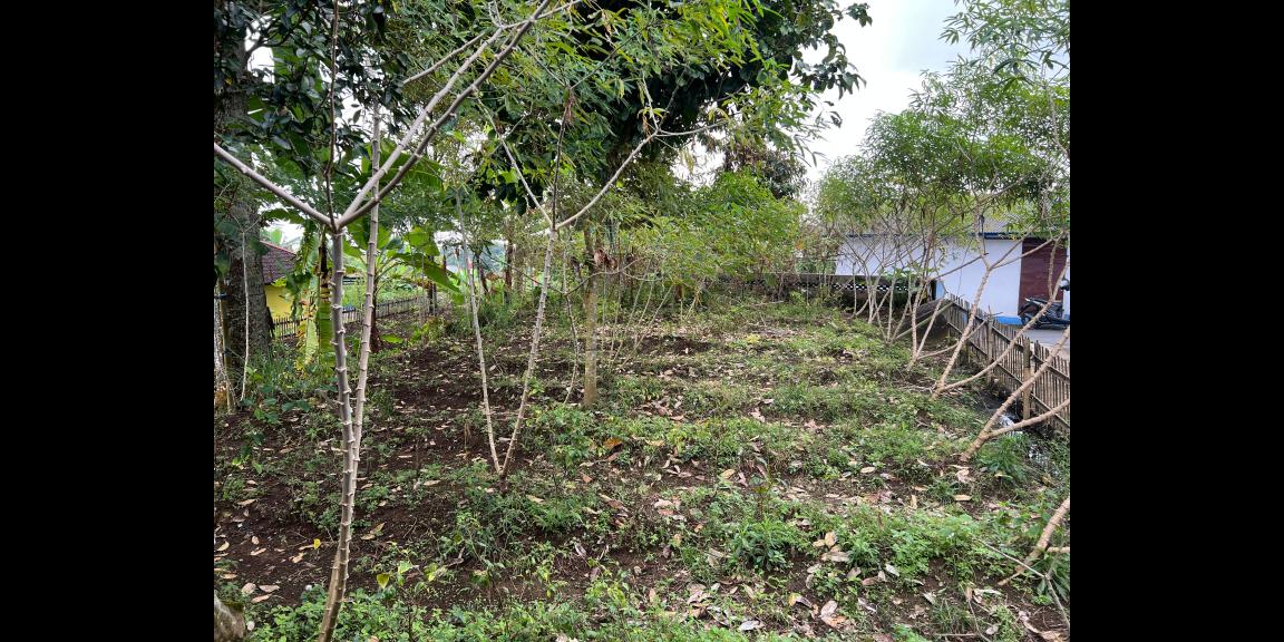 Tanah 439m² Kawasan Wisata Kemuning Cocok Untuk Villa Tanah 439m² Kawasan Wisata Kemuning Cocok Untuk Villa