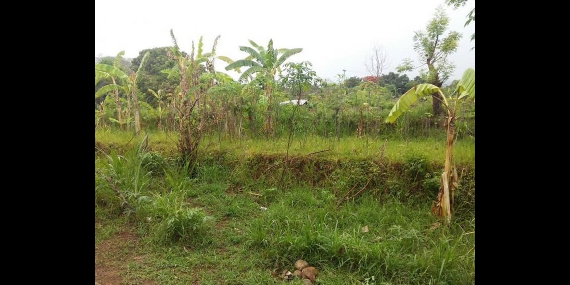 Tanah Kavling Murah Dekat Pantai Kaliasem Buleleng Tanah Kavling Murah Dekat Pantai Kaliasem Buleleng