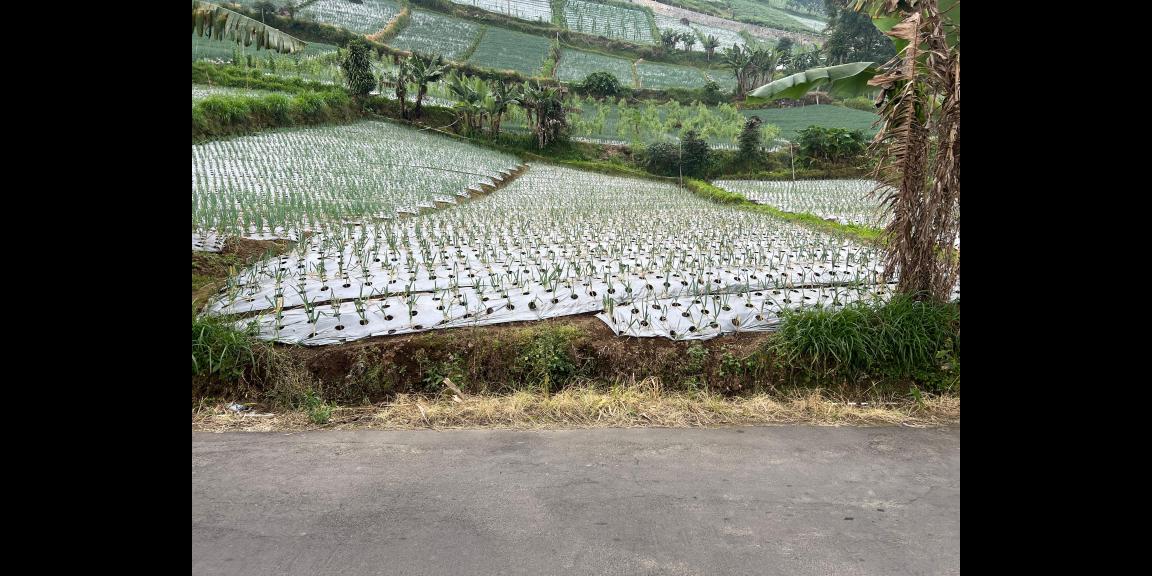 Tanah 480m² View Tanpa Halang Cocok Untuk Villa Kemuning Tanah 480m² View Tanpa Halang Cocok Untuk Villa Kemuning