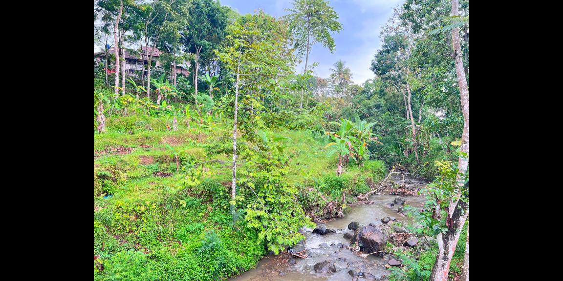 Tanah 1690m² Dekat Aliran Sungai Ngargoyoso Tanah 1690m² Dekat Aliran Sungai Ngargoyoso