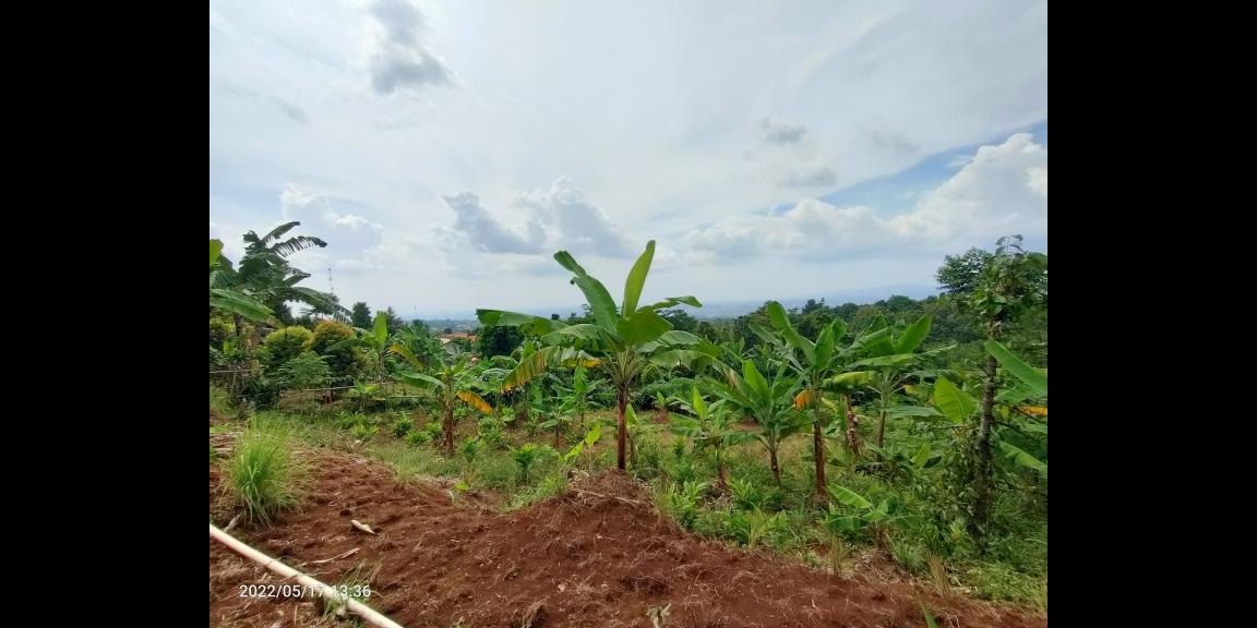 Jual Tanah di dataran tinggi Cijeruk Bogor View Indah Kota Bogor, Sentul dan Gunung Gede Jual Tanah di dataran tinggi Cijeruk Bogor View Indah Kota Bogor, Sentul dan Gunung Gede