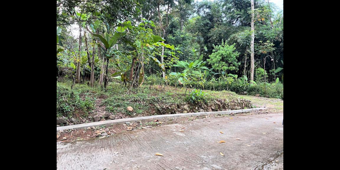 Jual Tanah 75 Juta Mojogedang Karanganyar Jual Tanah 75 Juta Mojogedang Karanganyar