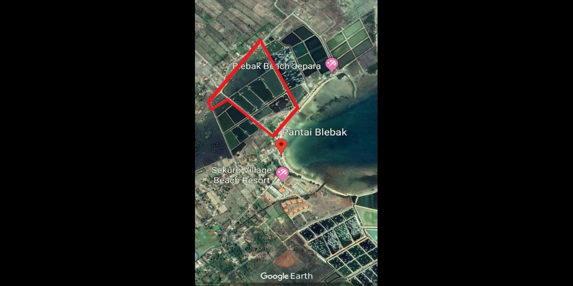 Jual tanah dan Tambak di Pantai blebak jepara Jual tanah dan Tambak di Pantai blebak jepara