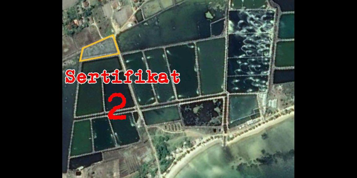 Jual tanah dan Tambak di Pantai blebak jepara Jual tanah dan Tambak di Pantai blebak jepara