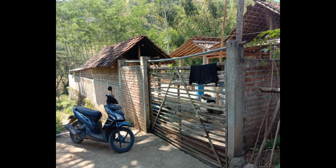 Lahan peternakan lengkap dgn kandang sapi, kambing, ayam, kolam, kebun Lahan peternakan lengkap dgn kandang sapi, kambing, ayam, kolam, kebun