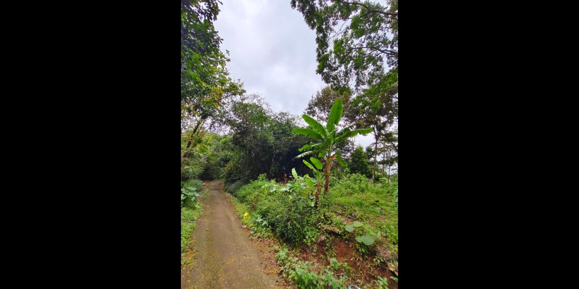 Tanah Datar 1471m² Barat Pasar Karangpandan  Tanah Datar 1471m² Barat Pasar Karangpandan