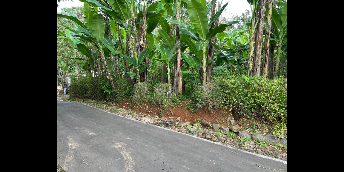 Tanah Datar 625m Hanya 150Jt  Kerjo Karanganyar  Tanah Datar 625m Hanya 150Jt  Kerjo Karanganyar