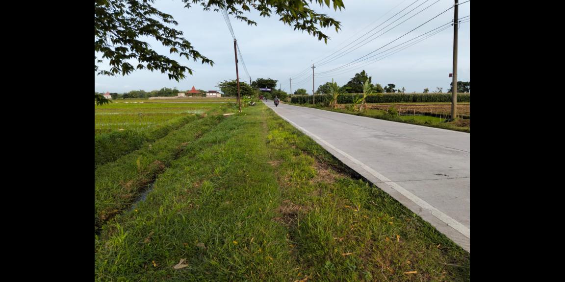 Tanah 4471m² Strategis Tepi Jl Raya Batujamus- Jambangan Solo Tanah 4471m² Strategis Tepi Jl Raya Batujamus- Jambangan Solo
