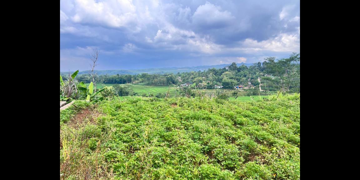 Tanah 4121m² View Hamparan Sawah Karanganyar Tanah 4121m² View Hamparan Sawah Karanganyar