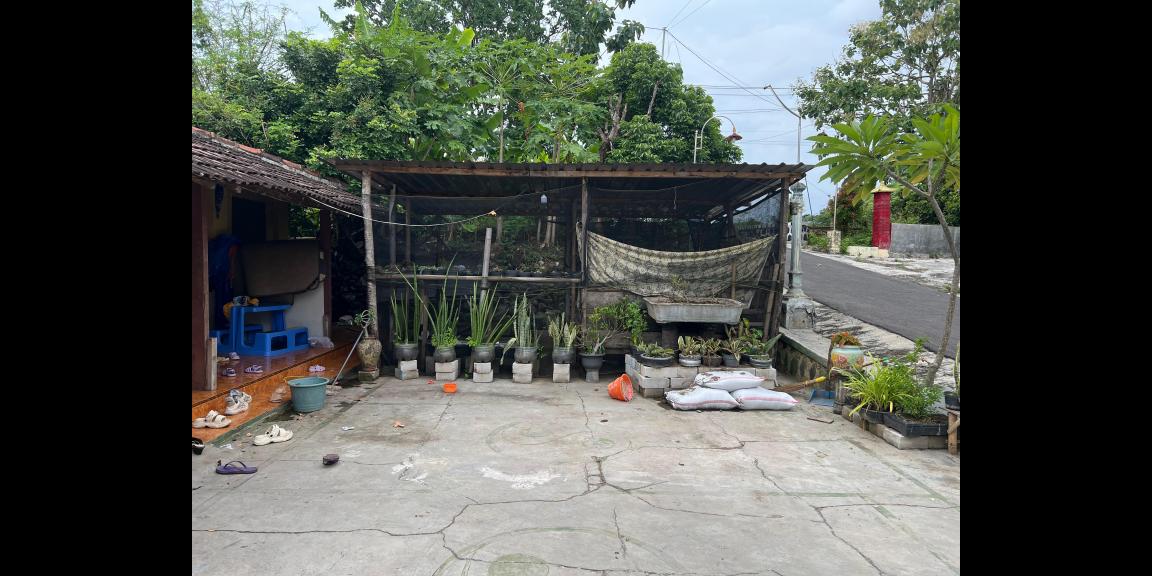 Tanah 1010m² Bonus Rumah Kedawung Sragen Tanah 1010m² Bonus Rumah Kedawung Sragen