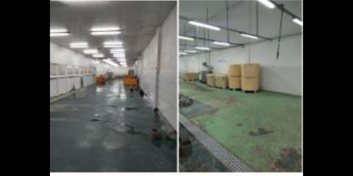 Jual Pergudangan Meiko Abadi Siap Pakai di Buduran Sidoarjo Harga Murah dibawah 10M Appraisal 17M SUPER BU 8.6M Jual Pergudangan Meiko Abadi Siap Pakai di Buduran Sidoarjo Harga Murah dibawah 10M Appraisal 17M SUPER BU 8.6M