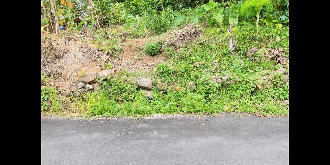 Tanah Investasi 400m2 Karangpandan Karanganyar Tanah Investasi 400m2 Karangpandan Karanganyar