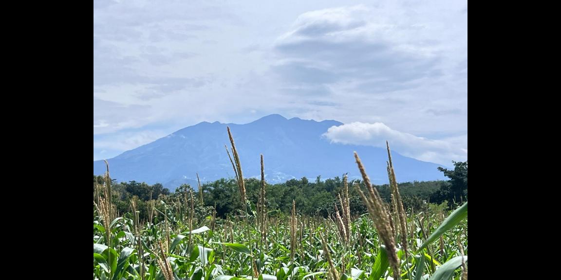 Tanah View Gunung Lawu 8000m Kerjo Karanganyar Utara Tanah View Gunung Lawu 8000m Kerjo Karanganyar Utara