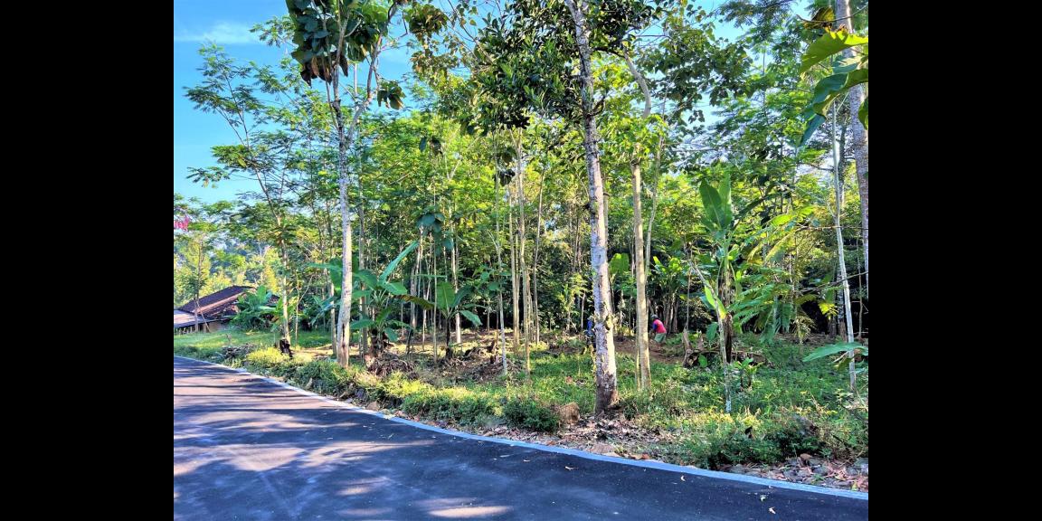 DIJUAL TANAH KEBUN BUAH MOJOGEDANG KARANGANYAR DIJUAL TANAH KEBUN BUAH MOJOGEDANG KARANGANYAR