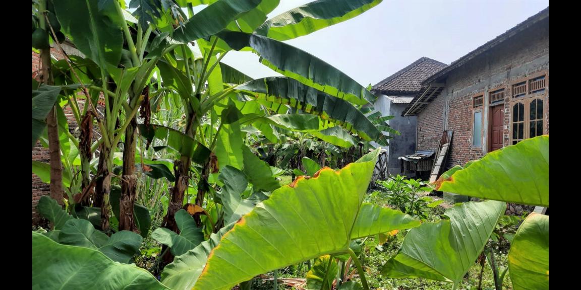 DIJUAL TANAH STRATEGIS KARANGANYAR KOTA DIJUAL TANAH STRATEGIS KARANGANYAR KOTA