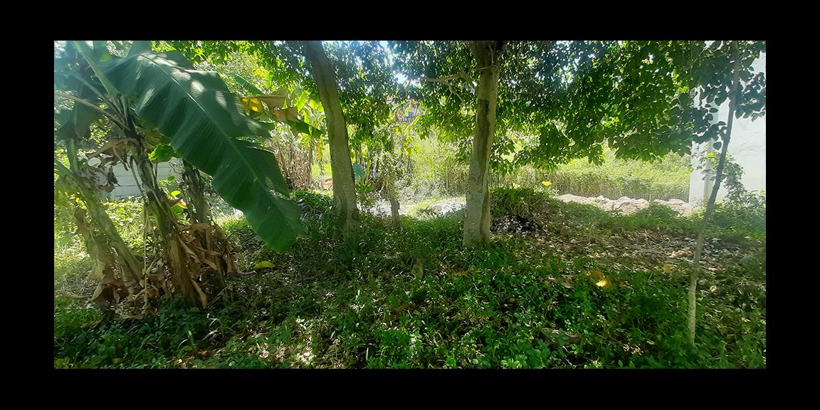 TANAH HUNIAN VIEW KOTA BANDUNG DI JALAN PASIR IMPUN BANDUNG TANAH HUNIAN VIEW KOTA BANDUNG DI JALAN PASIR IMPUN BANDUNG