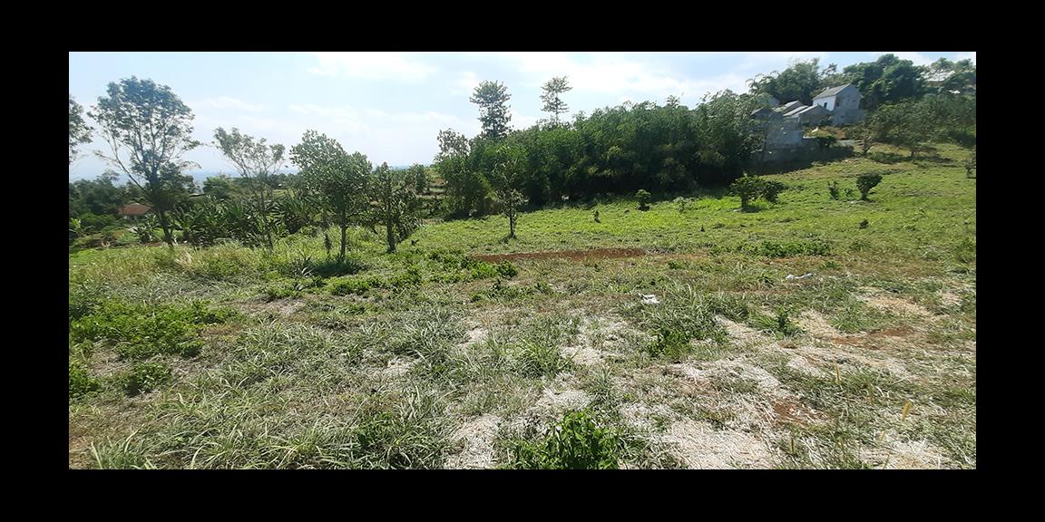 TANAH UNTUK PERUMAHAN LENGKAP DENGAN IJIN LOKASI DI JALAN CILENGKRANG BANDUNG TANAH UNTUK PERUMAHAN LENGKAP DENGAN IJIN LOKASI DI JALAN CILENGKRANG BANDUNG