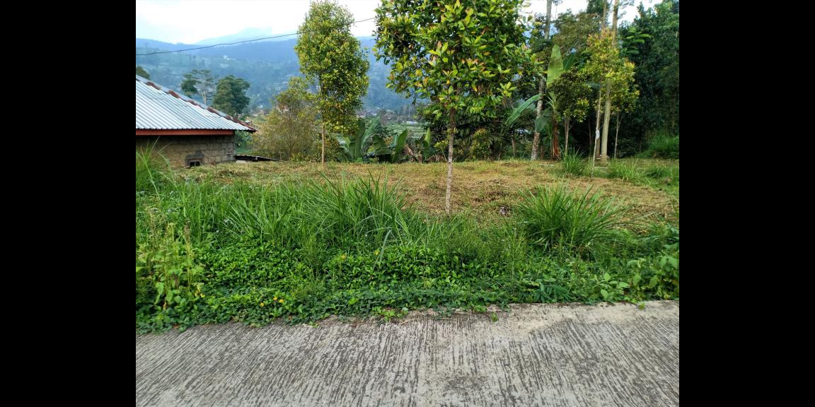 DIJUAL TANAH VIEW ISTIMEWA KEMUNING NGARGOYOSO KRA DIJUAL TANAH VIEW ISTIMEWA KEMUNING NGARGOYOSO KRA