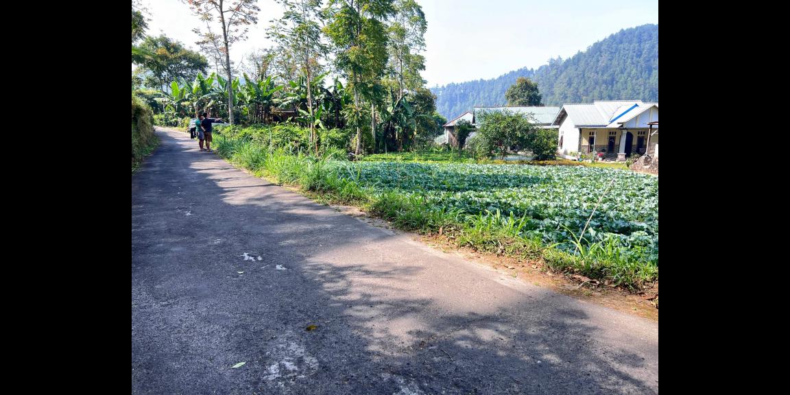 Tanah Murah 505m² 350 Juta Kawasan Wisata Karanganyar Tanah Murah 505m² 350 Juta Kawasan Wisata Karanganyar