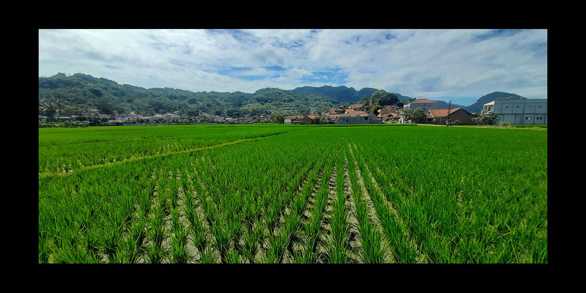 TANAH UNTUK PERUMAHAN ATAU PERMUKIMAN DI CILILIN BANDUNG BARAT TANAH UNTUK PERUMAHAN ATAU PERMUKIMAN DI CILILIN BANDUNG BARAT