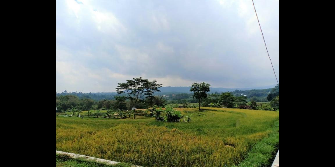 DIJUAL TANAH COCOK DIBANGUN VILLA KARANGPANDAN KOTA DIJUAL TANAH COCOK DIBANGUN VILLA KARANGPANDAN KOTA