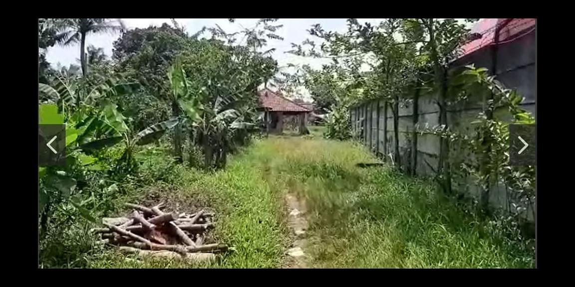 TANAH DI PINGGIR JALAN DEKAT POLITEKNIK SIBER DAN SANDI NEGARA DI CISEENG BOGOR TANAH DI PINGGIR JALAN DEKAT POLITEKNIK SIBER DAN SANDI NEGARA DI CISEENG BOGOR