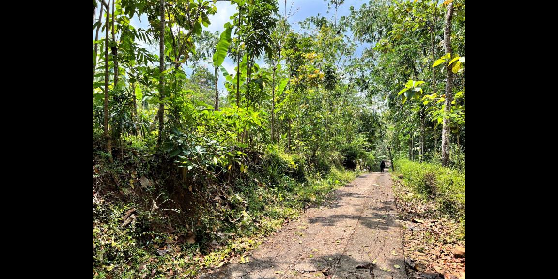 Tanah 1720m² Super Datar Karanganyar Tanah 1720m² Super Datar Karanganyar