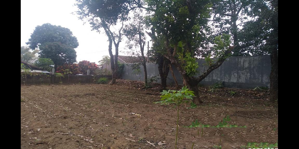 TANAH STRATEGIS DEKAT SEKOLAH, ALUN-ALUN, MALL DAN PERTOKOAN DI SAYAP JL. RAYA SAMARANG GARUT TANAH STRATEGIS DEKAT SEKOLAH, ALUN-ALUN, MALL DAN PERTOKOAN DI SAYAP JL. RAYA SAMARANG GARUT