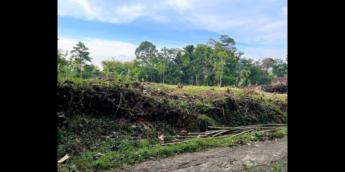 Tanah 1900m² Hanya 375 Juta nego Karanganyar Tanah 1900m² Hanya 375 Juta nego Karanganyar