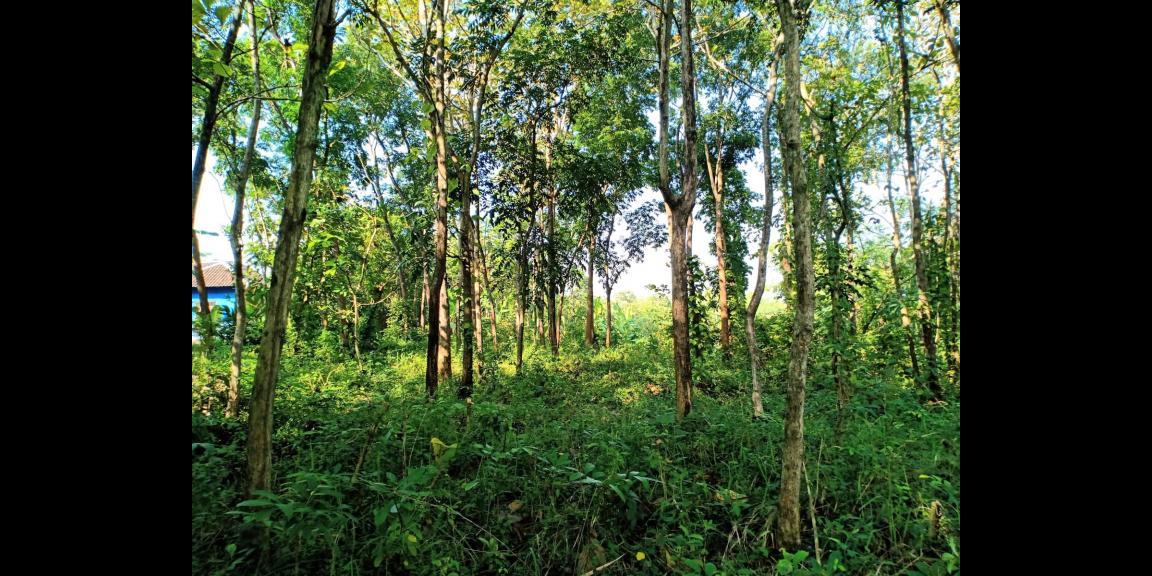 Tanah Luas Hanya 225 Juta Karanganyar Tanah Luas Hanya 225 Juta Karanganyar