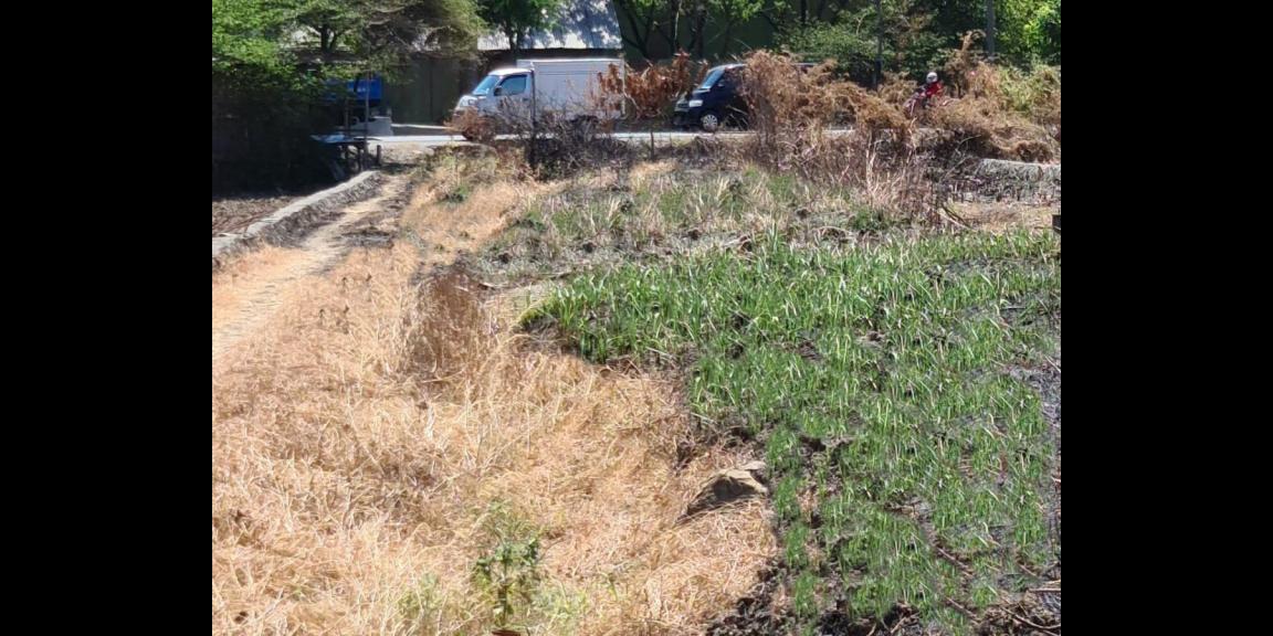 Jual Tanah Luas Strategis daerah Raya Bringkang Gresik Jual Tanah Luas Strategis daerah Raya Bringkang Gresik