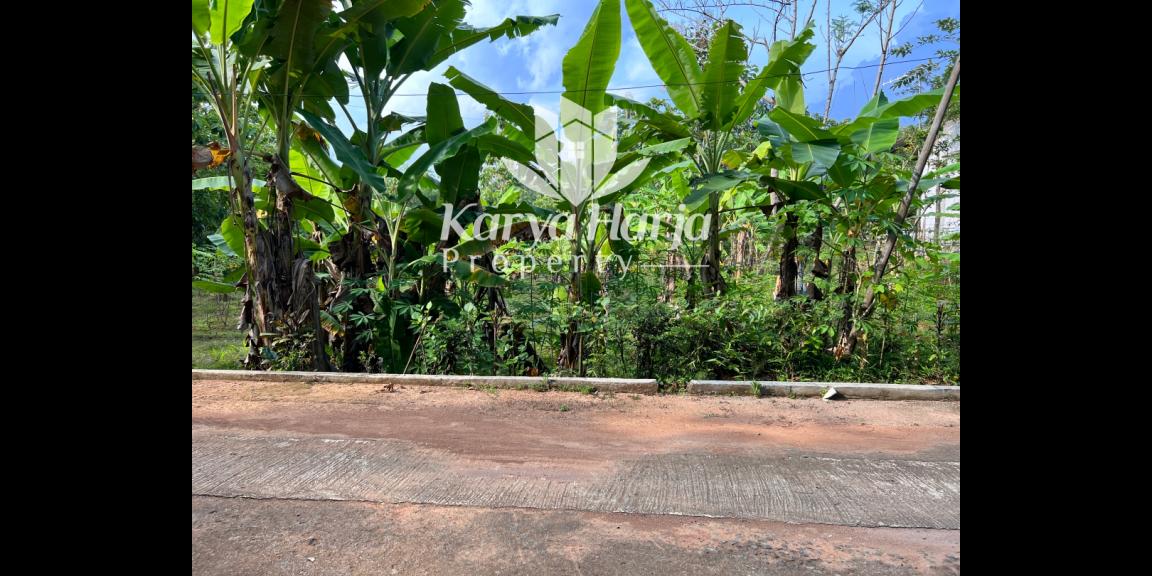 Tanah Cocok Dibangun Rumah Tinggal/Investasi Karanganyar Tanah Cocok Dibangun Rumah Tinggal/Investasi Karanganyar