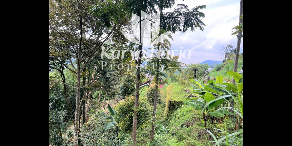 Tanah View Perbukitan Kemuning Karanganyar Tanah View Perbukitan Kemuning Karanganyar