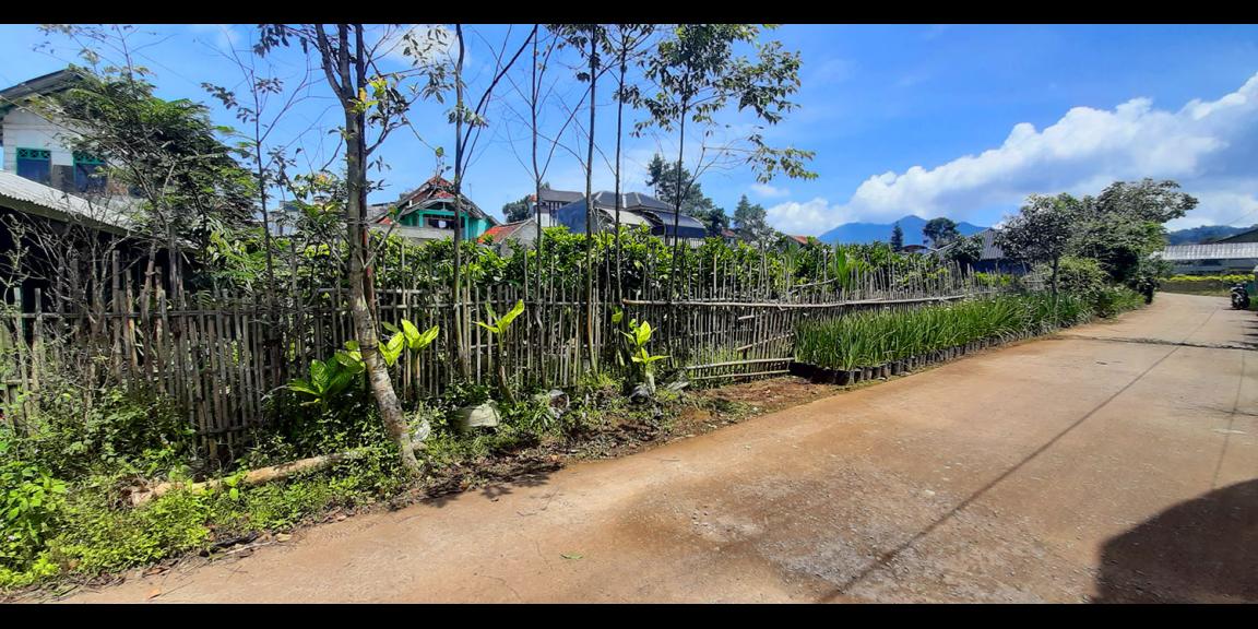 TANAH KAVLING STRAWBERRY SAYAP SERSAN BAJURI BANDUNG TANAH KAVLING STRAWBERRY SAYAP SERSAN BAJURI BANDUNG