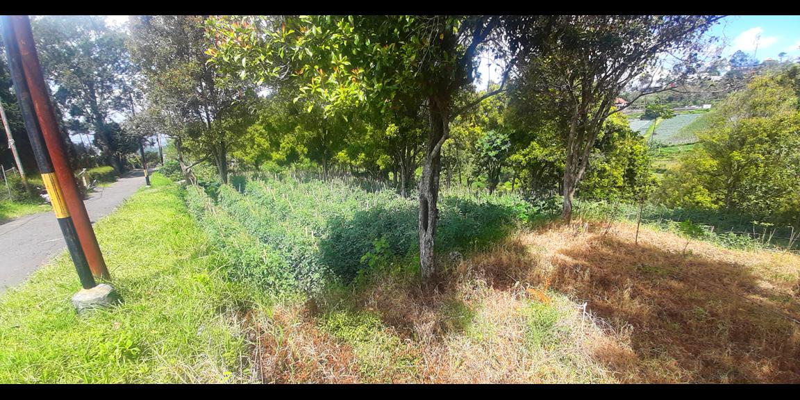 TANAH HUNIAN DAN KOMERSIL DI CIUMBULEUIT BANDUNG TANAH HUNIAN DAN KOMERSIL DI CIUMBULEUIT BANDUNG