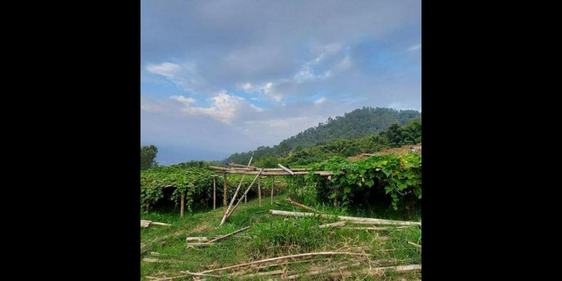 Jual Tanah Murah Daerah Cempaka Atas Kota Batu Jual Tanah Murah Daerah Cempaka Atas Kota Batu