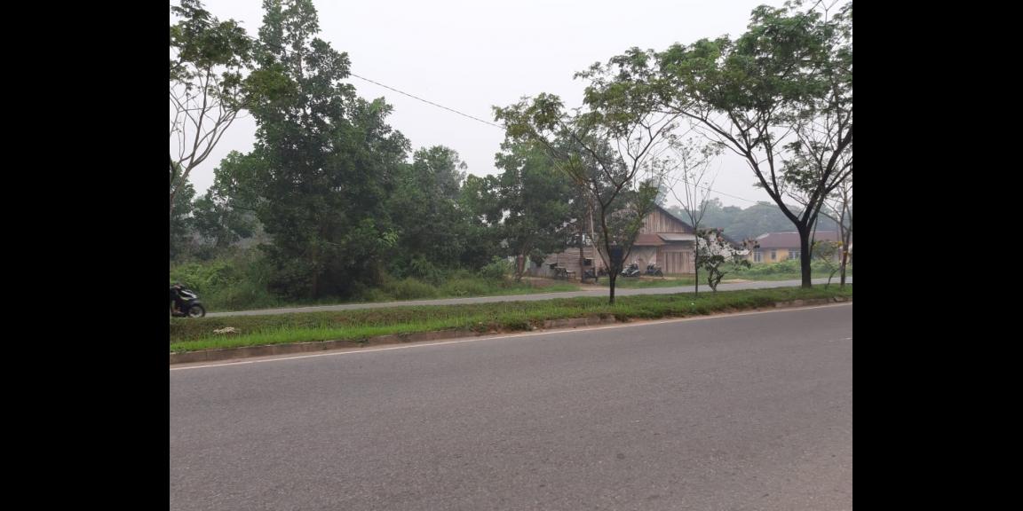 Tanah Ahmad Yani 2, Pontianak, Kalimantan Barat Tanah Ahmad Yani 2, Pontianak, Kalimantan Barat