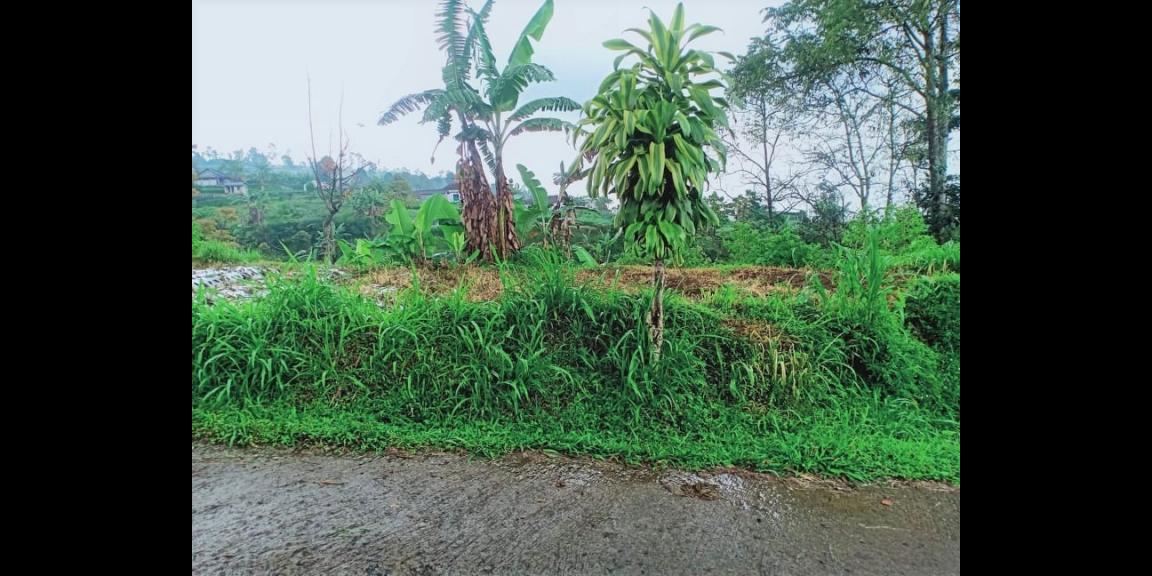 Jual Tanah 150m² View Perbukitan Kemuning Ngargoyoso Karanganyar Jual Tanah 150m² View Perbukitan Kemuning Ngargoyoso Karanganyar