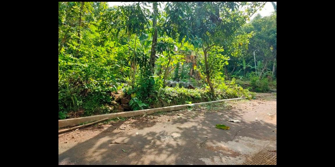 Dijual Tanah Super Datar 1500m² Kerjo Karanganyar Dijual Tanah Super Datar 1500m² Kerjo Karanganyar