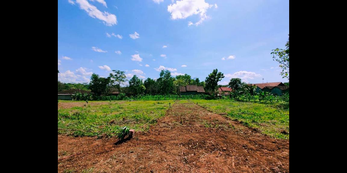 Dijual Tanah Datar 182m² Dekat MTS Mojogedang Karanganyar Dijual Tanah Datar 182m² Dekat MTS Mojogedang Karanganyar